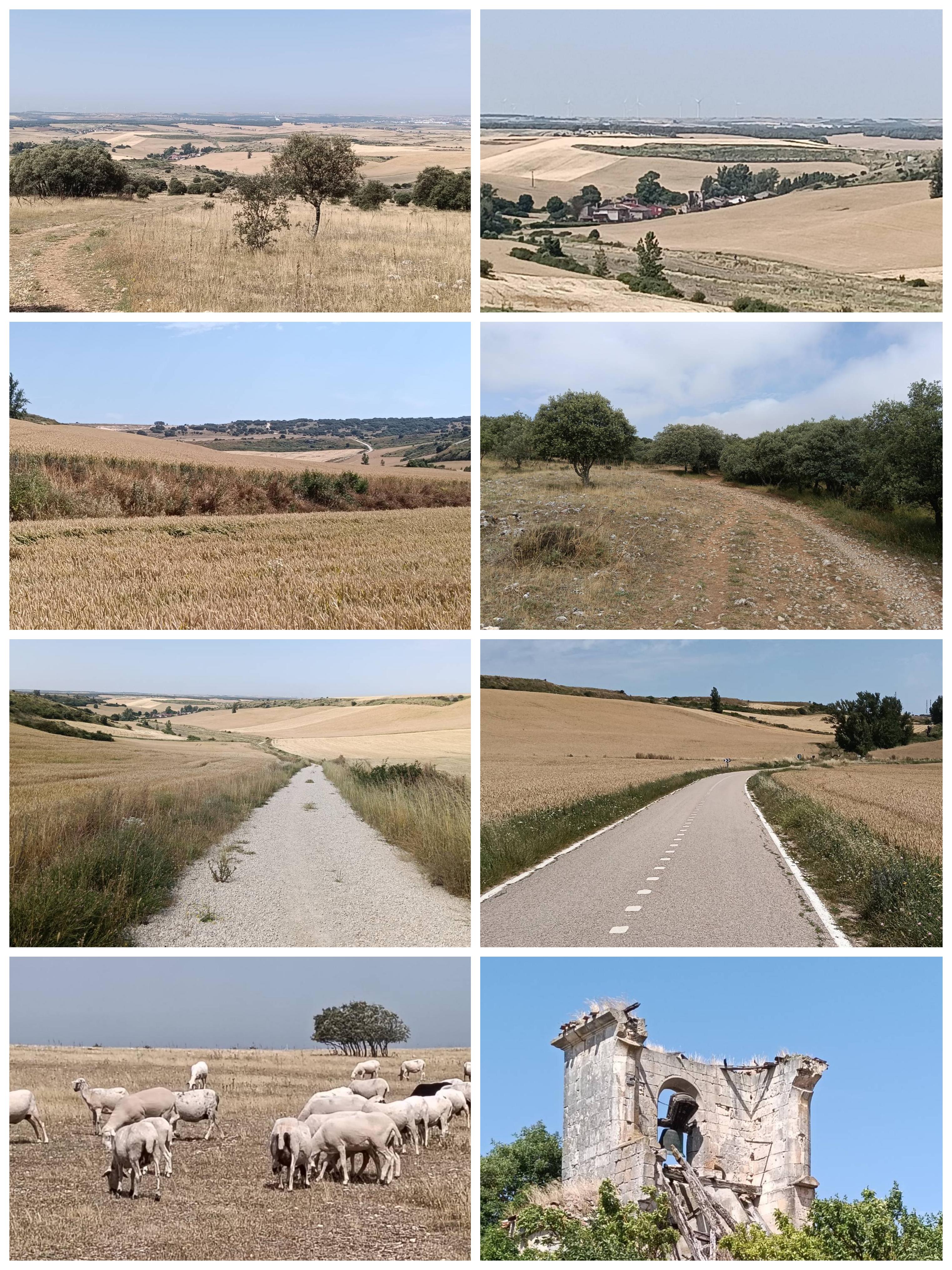 Day 13 — Burgos