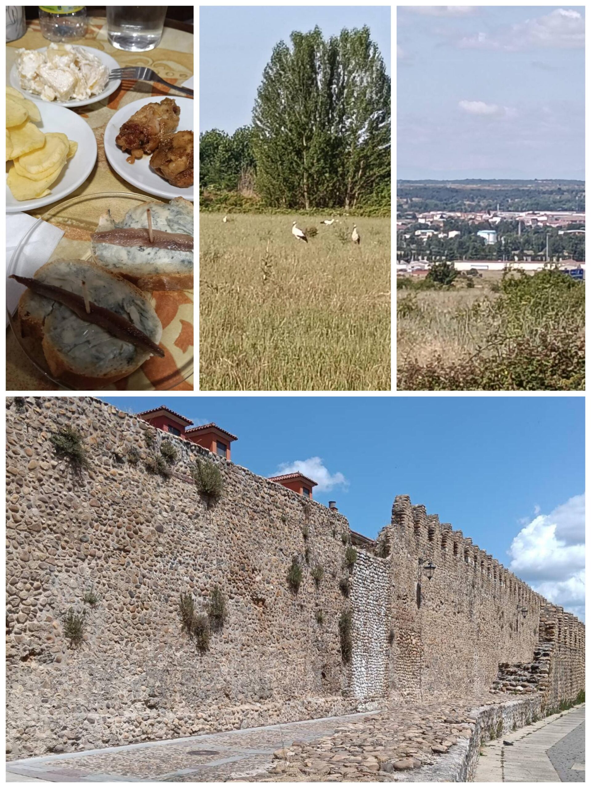 Day 21 — León